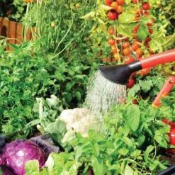 Mini-serre Surélevée Avec Espace De Rangement 1,4m² Plant Inn - Palram - Canopia -Jardin Serre Boutique mini serre surelevee avec espace de rangement plant inn palram 6