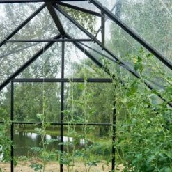 Pack Serre 9,9m² Noire En Verre Trempé + Embase Noire Universal Halls 22 Pack Serre 9,9m² Noire En Verre Trempé + Embase Noire Universal Halls -Jardin Serre Boutique pack serre de jardin 99m anthracite en verre embase noire universal halls 7