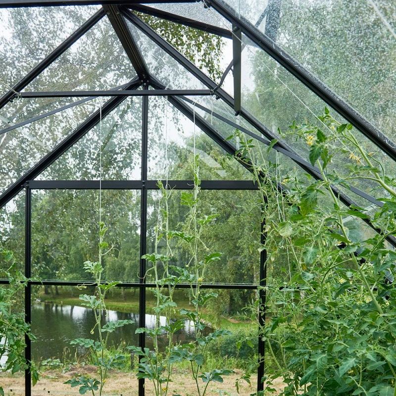 Pack Serre 9,9m² Noire En Verre Trempé + Embase Noire Universal Halls 10 Pack Serre 9,9m² Noire En Verre Trempé + Embase Noire Universal Halls – Image 8