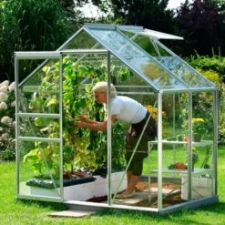 Petite Serre Allium Venus 2,5m² En Aluminium Naturel Et Verre Trempé 3mm + Embase Incluse - Natura Lams