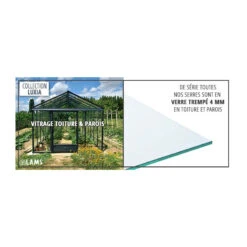 Serre Adossée LUXIA 6m² H232cm En Aluminium Naturel Et Verre Trempé 4mm + Embase Incluse - Lams -Jardin Serre Boutique serre adossee luxia 6m h232cm en aluminium naturel et verre trempe 4mm embase incluse lams 6