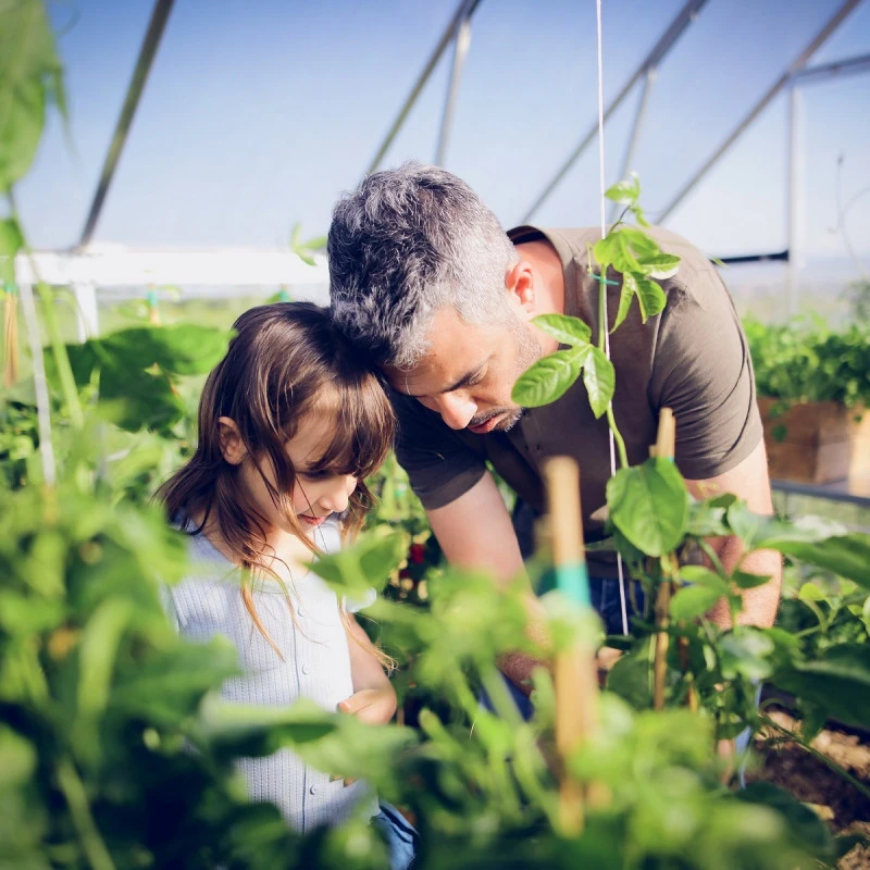 Serre Balance™ 11m² Structure Argent Et Panneaux Hybrides – Canopia By Palram 9 Serre Balance™ 11m² Structure Argent Et Panneaux Hybrides – Canopia By Palram – Image 7