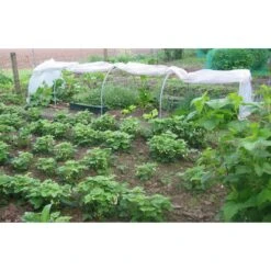 Serre Chenille De Jardin 1,3x10m En PE Non Armé 200 Microns Serres Tonneau -Jardin Serre Boutique serre chenille de jardin 13x10m en pe non arme 200 microns serres tonneau 6