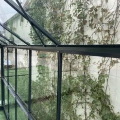 Serre De Jardin 11,04m² En Aluminium Anthracite Et Verre Trempé 4mm - Green Protect 17 Serre De Jardin 11,04m² En Aluminium Anthracite Et Verre Trempé 4mm - Green Protect -Jardin Serre Boutique serre de jardin 1092m en aluminium anthracite et verre trempe 4mm green protect 6