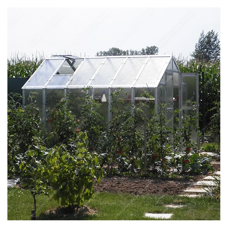 Serre De Jardin 249x306cm 7,62m² Verre Cathédrale 4mm VARIANT J3 - Limes 7 Serre De Jardin 249x306cm 7,62m² Verre Cathédrale 4mm VARIANT J3 - Limes – Image 5