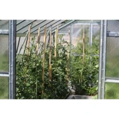 Serre De Jardin 303x452cm 13,70m² Verre Cathédrale 4mm VARIANT L4,5 - Limes -Jardin Serre Boutique serre de jardin 303x452cm 1370m verre cathedrale 4mm variant limes 12