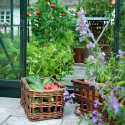 Serre De Jardin 5m² Popular 86 En Aluminium Vert Et Verre Trempé 3mm - Halls -Jardin Serre Boutique serre de jardin 5m popular 86 en aluminium vert et verre trempe 3mm halls 3