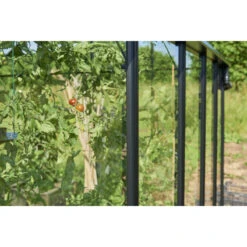 Serre De Jardin 6,17m² En Verre Trempé BURFORD Noire - Halls Costwold -Jardin Serre Boutique serre de jardin 617m en verre trempe burford noire eden greenhouses 13