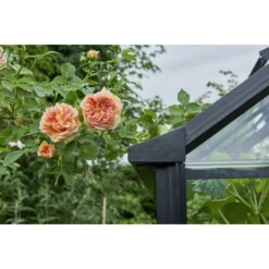 Serre De Jardin 6,17m² En Verre Trempé BURFORD Noire - Halls Costwold -Jardin Serre Boutique serre de jardin 617m en verre trempe burford noire eden greenhouses 17