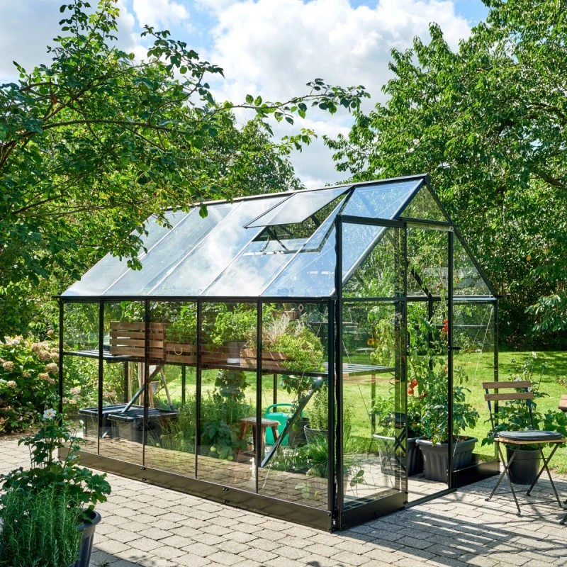 Serre De Jardin 6,4m² Qube 610 Noire En Verre Trempé - Halls 8 Serre De Jardin 6,4m² Qube 610 Noire En Verre Trempé - Halls – Image 6