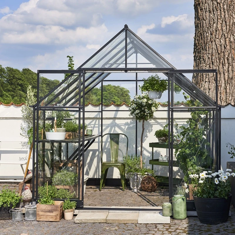 Serre De Jardin 6,6m² Qube+88 Noire En Verre Trempé - Halls 7 Serre De Jardin 6,6m² Qube+88 Noire En Verre Trempé - Halls – Image 5