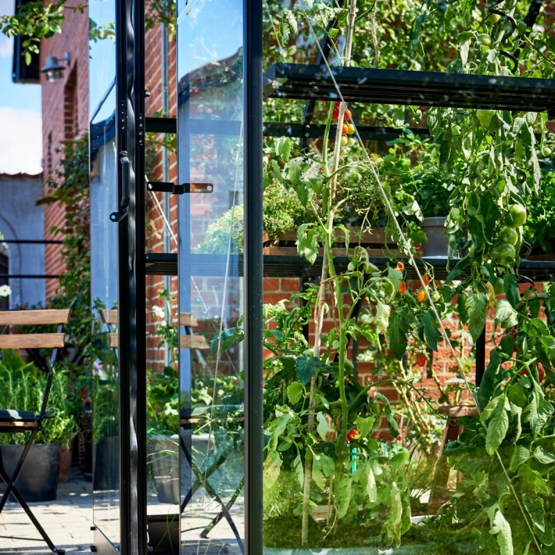 Serre De Jardin 6,6m² Qube+88 Noire En Verre Trempé - Halls 12 Serre De Jardin 6,6m² Qube+88 Noire En Verre Trempé - Halls – Image 10