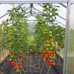 Serre De Jardin 9,8m² En Aluminium Et Polycarbonate 6mm Sanus L10 – Gampre -Jardin Serre Boutique serre de jardin 98m en aluminium et polycarbonate 6mm sanus l10 gampre 6