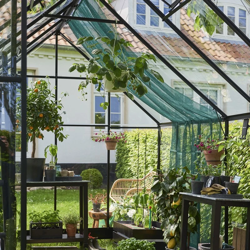 Serre De Jardin 9,9m² Qube+ 812 Noire En Verre Trempé - Halls 5 Serre De Jardin 9,9m² Qube+ 812 Noire En Verre Trempé - Halls – Image 3