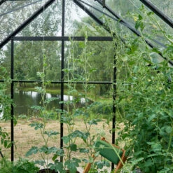 Serre De Jardin 9,9m² Universal 128 En Aluminium Noir Et Verre Horticole 3mm - Halls 16 Serre De Jardin 9,9m² Universal 128 En Aluminium Noir Et Verre Horticole 3mm - Halls -Jardin Serre Boutique serre de jardin 99m universal 128 en aluminium noir et verre horticole 3mm halls 5