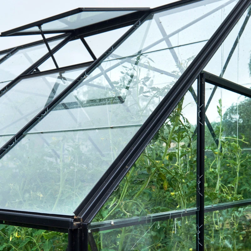 Serre De Jardin 9,9m² Universal 128 En Aluminium Noir Et Verre Horticole 3mm - Halls 9 Serre De Jardin 9,9m² Universal 128 En Aluminium Noir Et Verre Horticole 3mm - Halls – Image 7