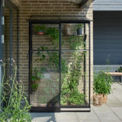 Serre De Jardin Adossée 0,8m² Qube Lean-to 24noire En Verre Trempé - Halls -Jardin Serre Boutique serre de jardin adossee 08m qube lean to 24noire en verre trempe halls 2