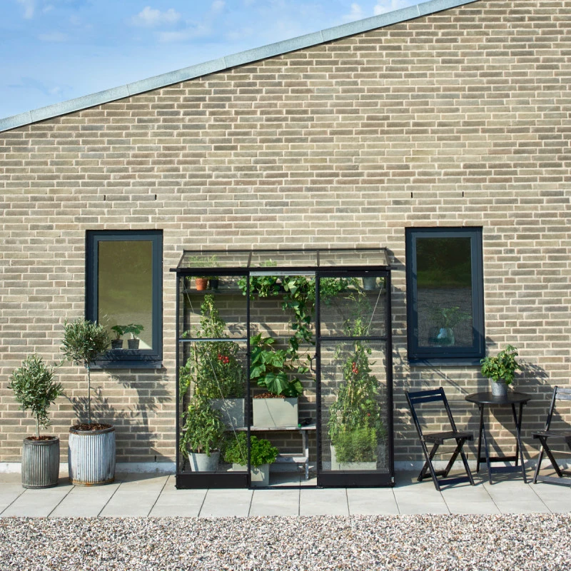 Serre De Jardin Adossée 1,2m² Qube Lean-to 26 Noire En Verre Trempé - Halls 4 Serre De Jardin Adossée 1,2m² Qube Lean-to 26 Noire En Verre Trempé - Halls – Image 2