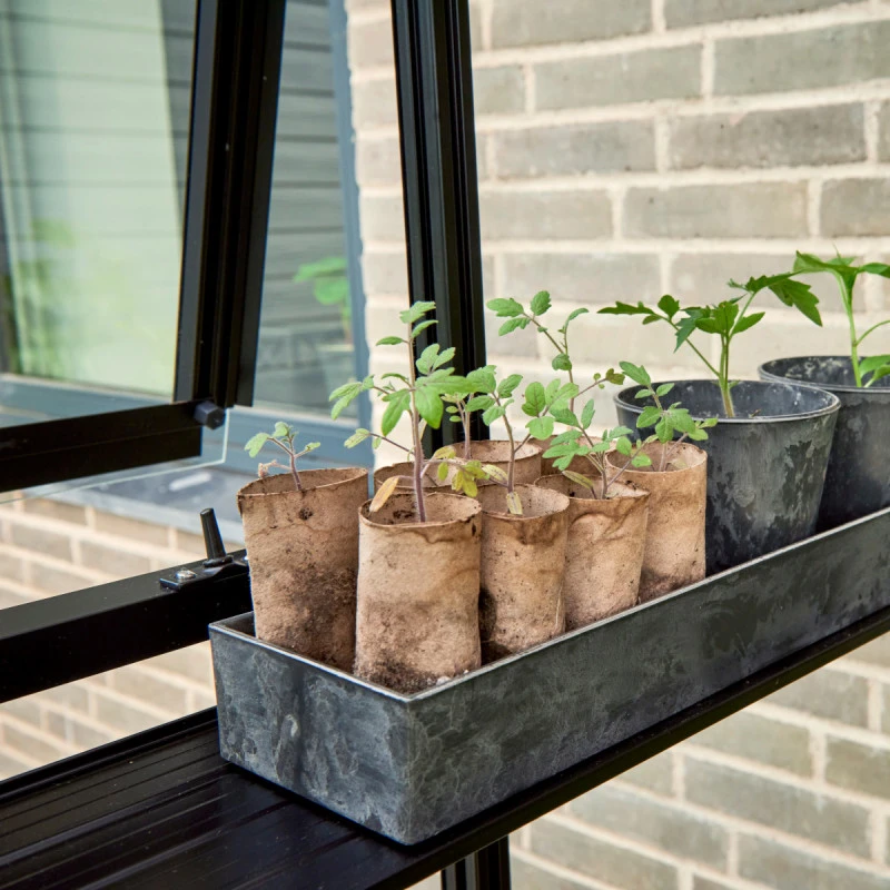 Serre De Jardin Adossée 7,1m² Qube Lean-to 612 Noire En Verre Trempé - Halls 13 Serre De Jardin Adossée 7,1m² Qube Lean-to 612 Noire En Verre Trempé - Halls – Image 11