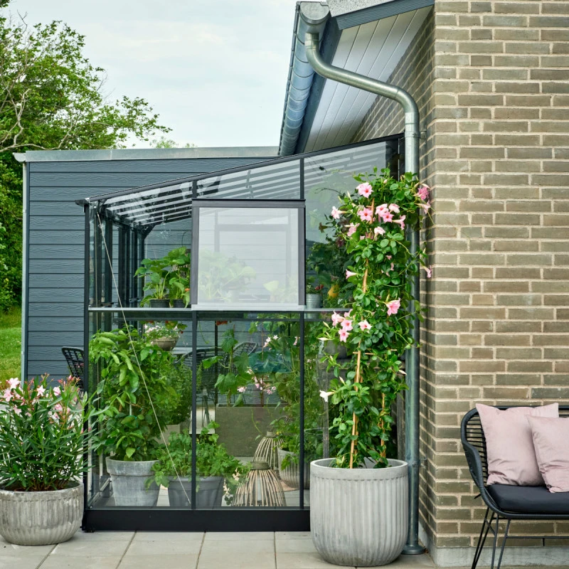 Serre De Jardin Adossée 7,1m² Qube Lean-to 612 Noire En Verre Trempé - Halls 8 Serre De Jardin Adossée 7,1m² Qube Lean-to 612 Noire En Verre Trempé - Halls – Image 6