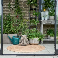 Serre De Jardin Adossée 7,1m² Qube Lean-to 612 Noire En Verre Trempé - Halls 23 Serre De Jardin Adossée 7,1m² Qube Lean-to 612 Noire En Verre Trempé - Halls -Jardin Serre Boutique serre de jardin adossee 71m qube lean to 612 noire en verre trempe halls 8