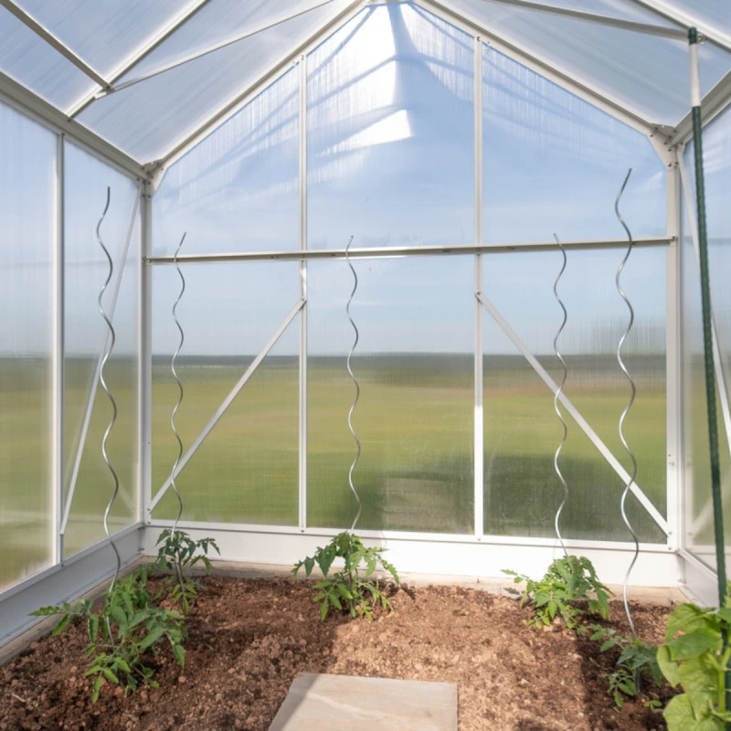 Serre De Jardin Dorado 6m² En Aluminium Blanc Et Polycarbonate 6mm – Westmann 7 Serre De Jardin Dorado 6m² En Aluminium Blanc Et Polycarbonate 6mm – Westmann – Image 5