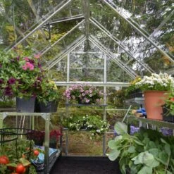 Serre De Jardin En Alu Et Polycarbonate 4,6m² Harmony™ Silver – Palram - Canopia -Jardin Serre Boutique serre de jardin en alu et polycarbonate 46m harmony silver palram 3