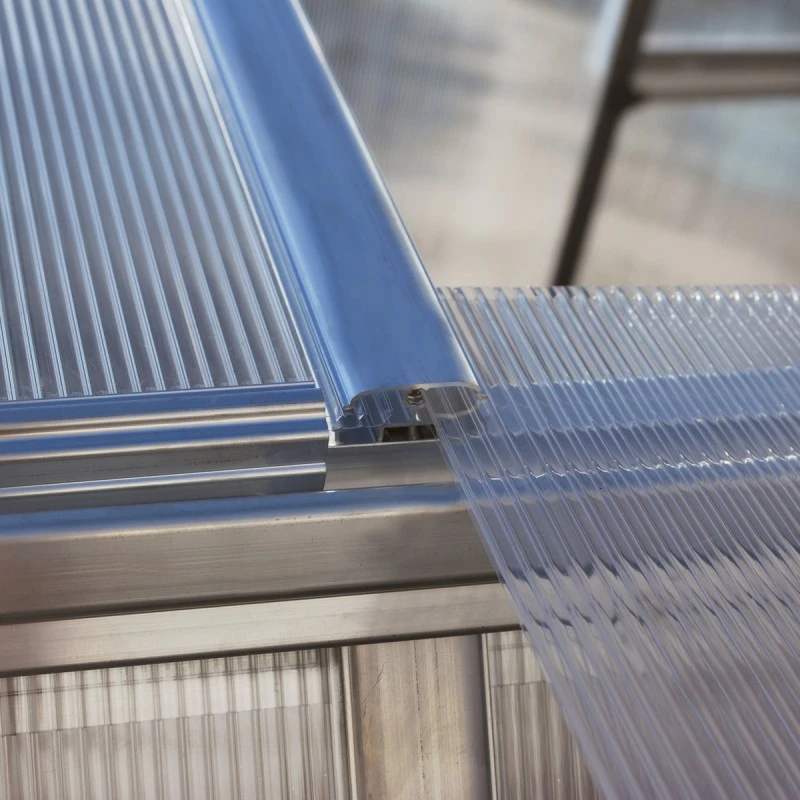 Serre De Jardin En Alu Et Polycarbonate 8,9m² Essence™ Silver – Canopia By Palram 17 Serre De Jardin En Alu Et Polycarbonate 8,9m² Essence™ Silver – Canopia By Palram – Image 15