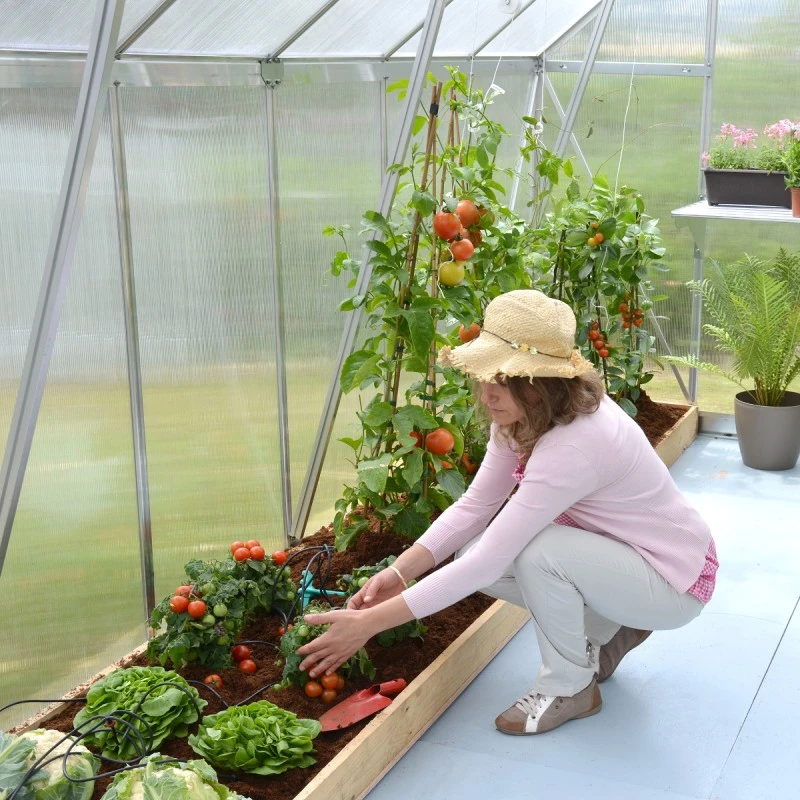 Serre De Jardin En Alu Et Polycarbonate 8,9m² Essence™ Silver – Canopia By Palram 11 Serre De Jardin En Alu Et Polycarbonate 8,9m² Essence™ Silver – Canopia By Palram – Image 9