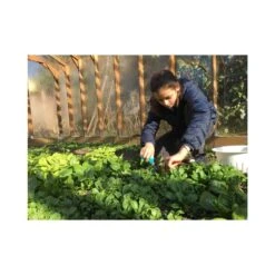 Serre De Jardin En Bois De Mélèze Cléophée 10m² - HELIO -Jardin Serre Boutique serre de jardin en bois de meleze cleophee 10m helio 6