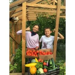 Serre De Jardin En Bois De Mélèze Cléophée 10m² - HELIO -Jardin Serre Boutique serre de jardin en bois de meleze cleophee 10m helio 7