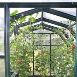 Serre De Jardin En PVC Et Polycarbonate 5,36m² Eco Grow – Canopia By Palram -Jardin Serre Boutique serre de jardin en pvc et polycarbonate 536m eco grow rion 8