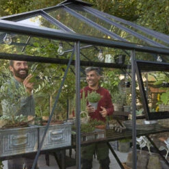 Serre De Jardin Grand Oase 25,6m² En Aluminium Noir Et Verre Trempé 3mm - Juliana -Jardin Serre Boutique serre de jardin grand oase 256m en aluminium noir et verre trempe 3mm juliana 16