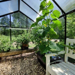 Serre De Jardin Hybrid 8,41m² Anthracite En Verre Trempé Et Polycarbonate Sanus XL9 – Gampre 11 Serre De Jardin Hybrid 8,41m² Anthracite En Verre Trempé Et Polycarbonate Sanus XL9 – Gampre -Jardin Serre Boutique serre de jardin hybrid 841m anthracite en verre trempe et polycarbonate sanus xl9 gampre 4