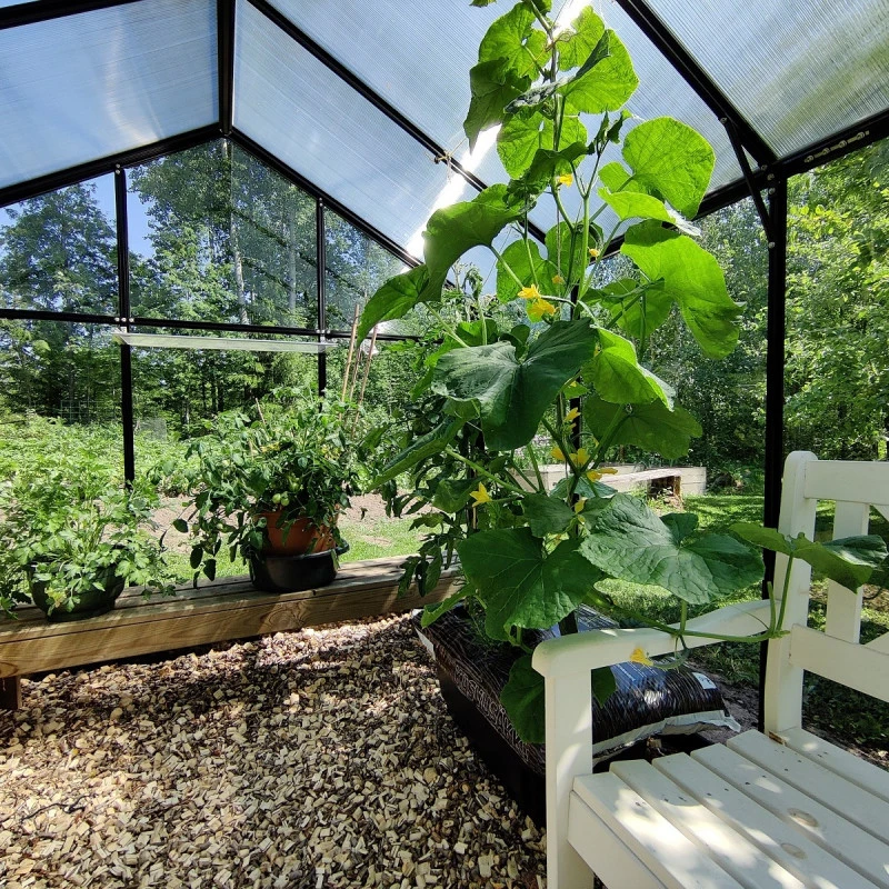 Serre De Jardin Hybrid 8,41m² Anthracite En Verre Trempé Et Polycarbonate Sanus XL9 – Gampre 7 Serre De Jardin Hybrid 8,41m² Anthracite En Verre Trempé Et Polycarbonate Sanus XL9 – Gampre – Image 5