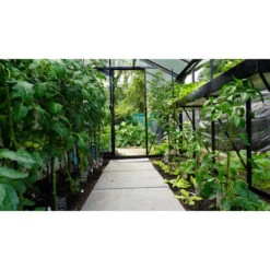 Serre De Jardin R204 BLACKLINE 6,91m² En Aluminium Laqué RAL 9005 Noir Et Verre Trempé – ACD -Jardin Serre Boutique serre de jardin r204 blackline 691m en aluminium laque ral 9005 noir et verre trempe acd 1