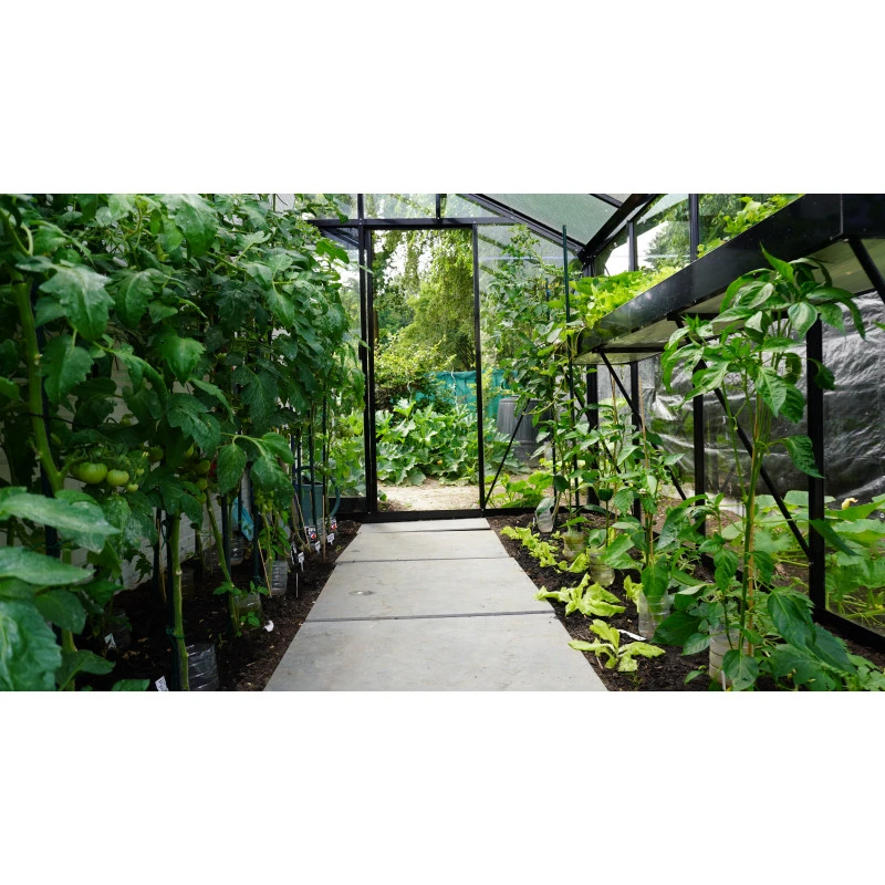 Serre De Jardin R305 BLACKLINE 11,35m² En Aluminium Laqué RAL 9005 Noir Et Verre Trempé – ACD 6 Serre De Jardin R305 BLACKLINE 11,35m² En Aluminium Laqué RAL 9005 Noir Et Verre Trempé – ACD – Image 4