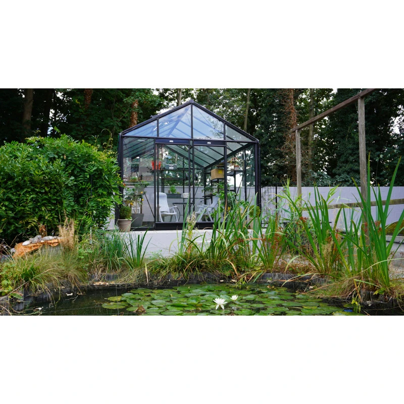 Serre De Jardin R305 BLACKLINE 11,35m² En Aluminium Laqué RAL 9005 Noir Et Verre Trempé – ACD 7 Serre De Jardin R305 BLACKLINE 11,35m² En Aluminium Laqué RAL 9005 Noir Et Verre Trempé – ACD – Image 5