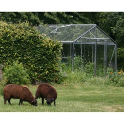 Serre De Jardin R305H Prestige Clear Sky 11,35m² En Aluminium Et Verre Trempé – ACD 17 Serre De Jardin R305H Prestige Clear Sky 11,35m² En Aluminium Et Verre Trempé – ACD -Jardin Serre Boutique serre de jardin r305h prestige clear sky 1135m en aluminium et verre trempe acd 1 4