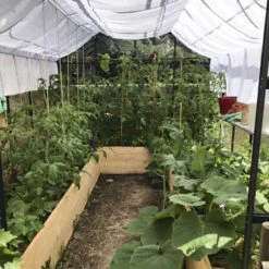 Serre Laurus Uranus 9,85m² En Aluminium Laqué Gris Et Verre Trempé 3mm + Embase Incluse - Natura Lams -Jardin Serre Boutique serre laurus uranus 985m en aluminium laque gris et verre trempe 3mm embase incluse natura lams 16