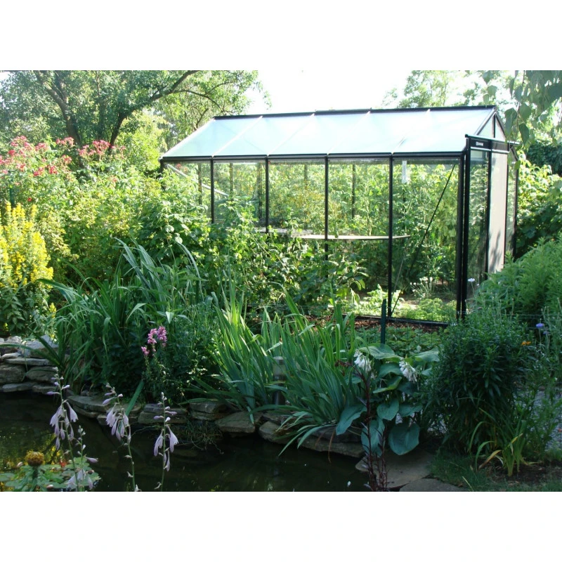 Serre De Jardin R305 Prestige Grow 11,35m² En Aluminium Et Verre Trempé – ACD 5 Serre De Jardin R305 Prestige Grow 11,35m² En Aluminium Et Verre Trempé – ACD – Image 3