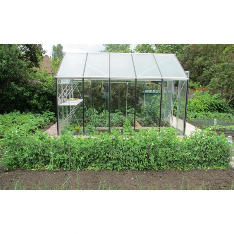 Serre De Jardin R305 Prestige Grow 11,35m² En Aluminium Et Verre Trempé – ACD 6 Serre De Jardin R305 Prestige Grow 11,35m² En Aluminium Et Verre Trempé – ACD – Image 4