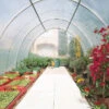 Serre Tunnel Maraîchère Semi Professionnelle 40,55m² Avec 2 Portes - RICHEL -Jardin Serre Boutique serre tunnel maraichere semi professionnelle 4055m avec 2 portes richel