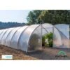 Serre Tunnel Maraichère Semi Professionnelle 60,75m² Avec 2 Portes - RICHEL -Jardin Serre Boutique serre tunnel maraichere semi professionnelle 6075m avec 2 portes richel