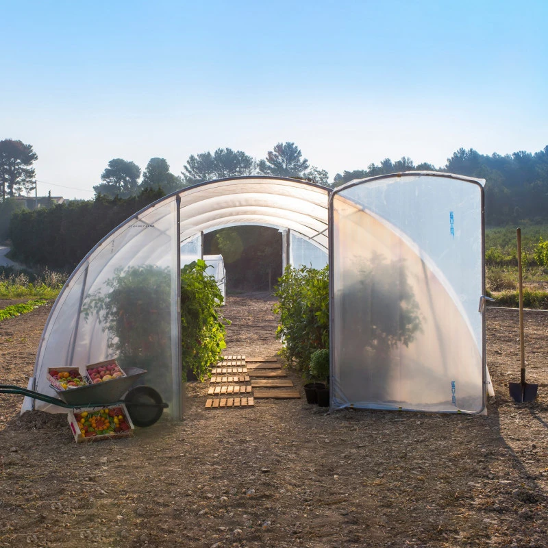 Serre Tunnel Maraîchère Semi Professionnelle 27m² Avec 2 Portes - RICHEL 4 Serre Tunnel Maraîchère Semi Professionnelle 27m² Avec 2 Portes - RICHEL – Image 2