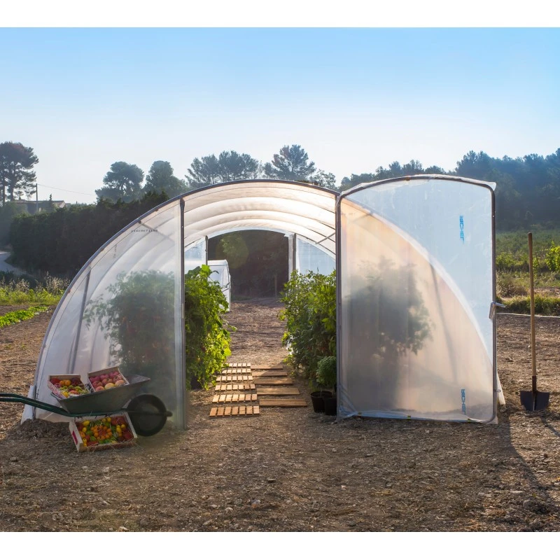 Serre Tunnel Maraîchère Semi Professionnelle 27m² Avec 2 Portes - RICHEL 10 Serre Tunnel Maraîchère Semi Professionnelle 27m² Avec 2 Portes - RICHEL – Image 8