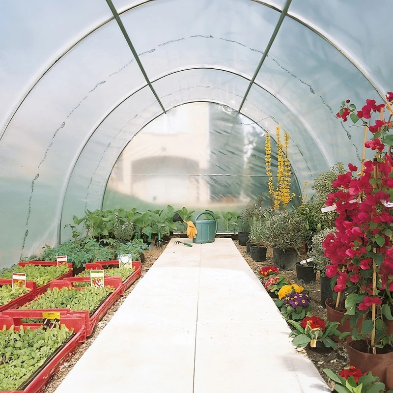 Serre Tunnel Maraîchère Semi Professionnelle 27m² Avec 2 Portes - RICHEL 11 Serre Tunnel Maraîchère Semi Professionnelle 27m² Avec 2 Portes - RICHEL – Image 9