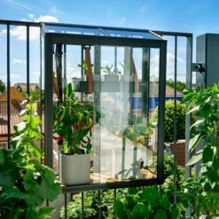 Serre Urbaine Balcony En Verre Trempé Avec étagères – Juliana -Jardin Serre Boutique serre urbaine 016m en verre trempe avec etageres balcony greenhouse juliana 2