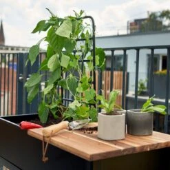 Serre Urbaine Vertical En Verre Trempé Avec Roulettes – Juliana -Jardin Serre Boutique serre urbaine en verre trempe avec roulettes vertical greenhouse juliana 2