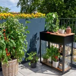 Serre Urbaine Vertical En Verre Trempé Avec Roulettes – Juliana
